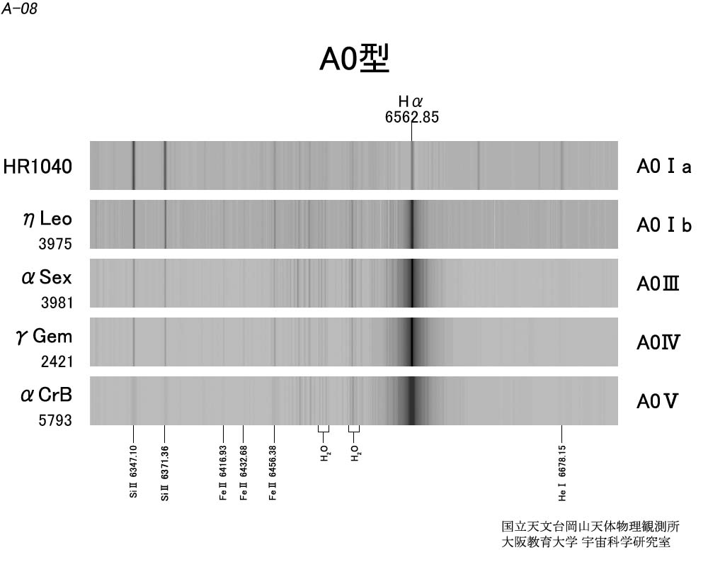 A0型 